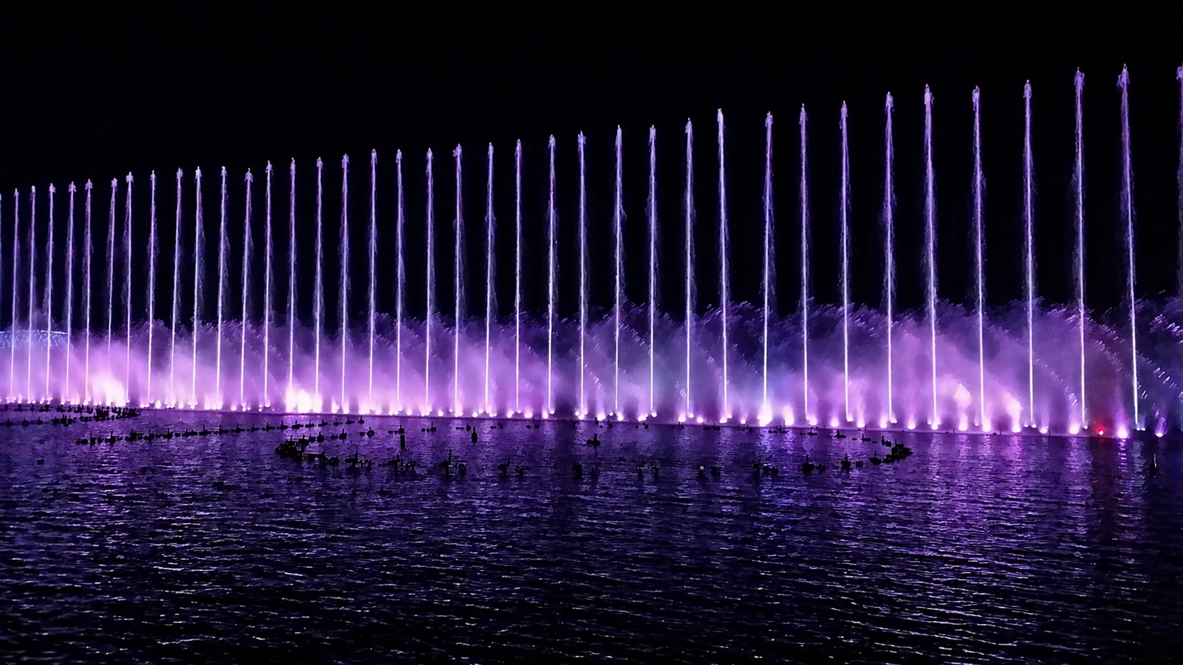 Large-scale dancing fountain night show with programmed water jets and lighting effects