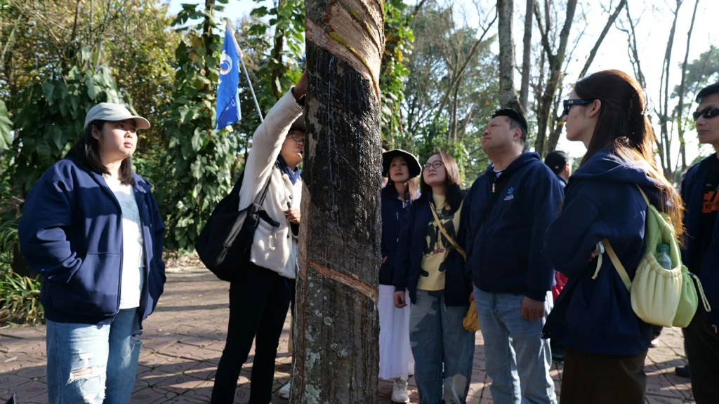 Huaxin Fountain - Team building event bringing employees together outside the workplace